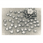 7-P7129  Pakabukas "Širdelė", 12mm, 5 vnt.