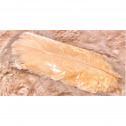 PS-P-6774  Povo plunksnos, šviesi PERSIKU sp, 8 vnt., apie 18cm.