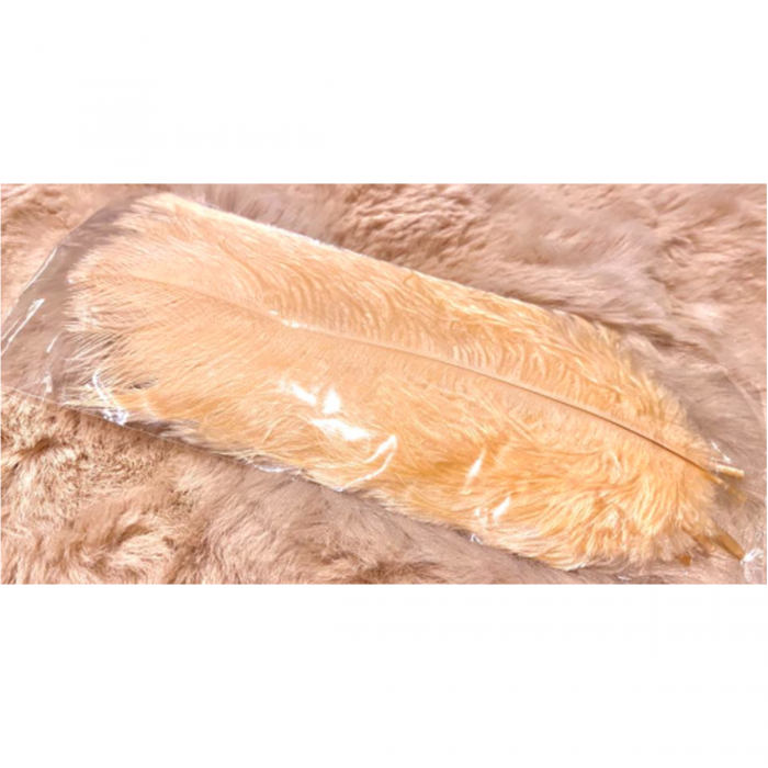 PS-P-6774  Povo plunksnos, šviesi PERSIKU sp, 8 vnt., apie 18cm.