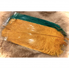 PS-P-6776  Povo plunksnos, AUKSO tamsesnio sp.,  8 vnt., apie 18cm.