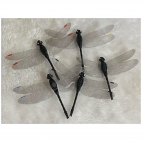 DK-L-5517  Dekoracija "Laumžirgis" , 8x5cm, 5 vnt., JUODOS sp.