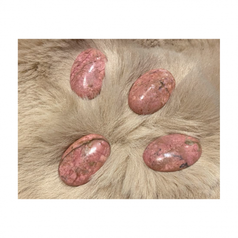 KAB-RD-001  Rodonito kabošonas,  apie 30x20mm, 1 vnt.