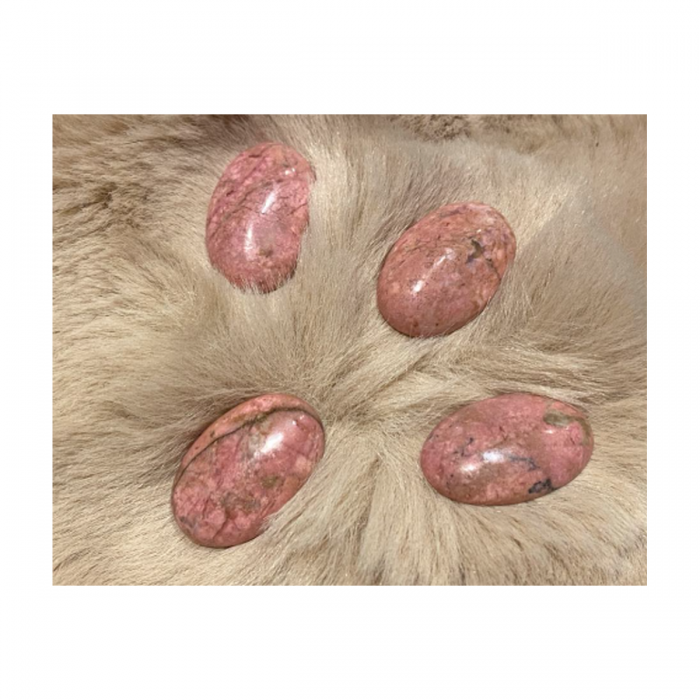 KAB-RD-001  Rodonito kabošonas,  apie 30x20mm, 1 vnt.