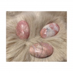 KAB-RD-002  Rodonito kabošonas,  apie 30x20mm, 1 vnt.