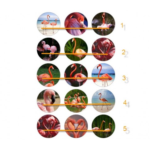 CCC-01 Paveiksliukai " Flamingai" apie 25mm, kaina už 3vnt.