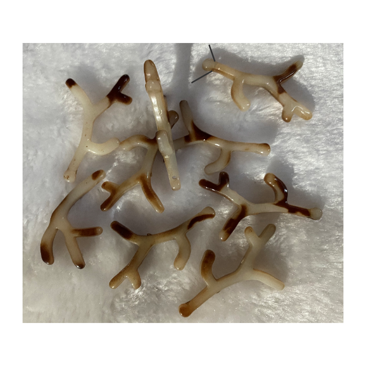 AKR-PK33466  Akrilinis pakabukas "Šakelė", apie 45x30mm/40x25mm, už 2 vnt.