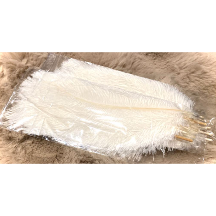 PS-P-6773  Povo plunksnos, BALTOS, 10 vnt., ilgis apie 14 cm.