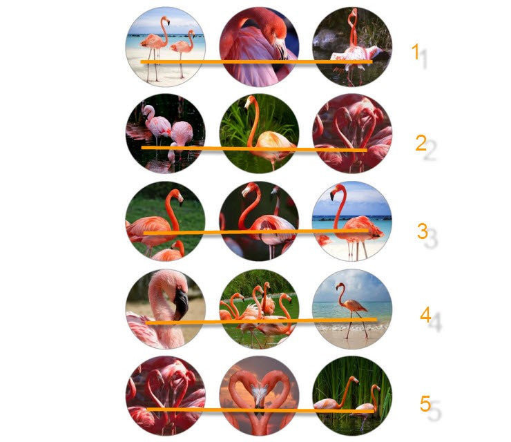 CCC-02 Paveiksliukai " Flamingai" apie 25mm, kaina už 3vnt.