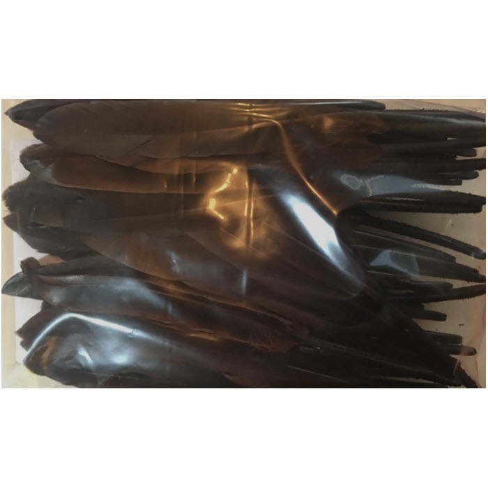 PL-MA98 Plunksna, apie 10cm, RUDA