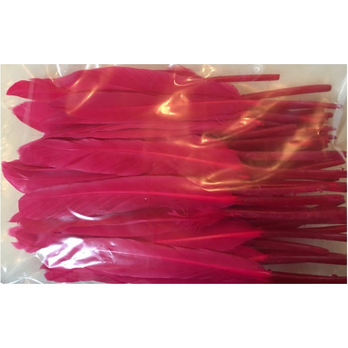 PL-MA96 Plunksna, apie 12-14cm, RAUDONA